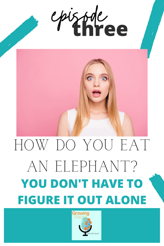 EP: 03 HOW DO YOU EAT AN ELEPHANT